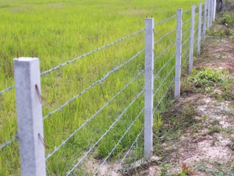 รั้วบ้าน รั้วลวดหนาม ปทุมธานี